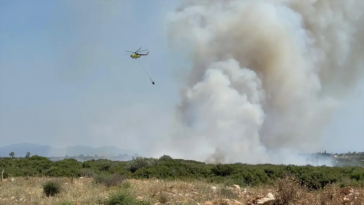 Didim'de Makilik Alanda Yangın