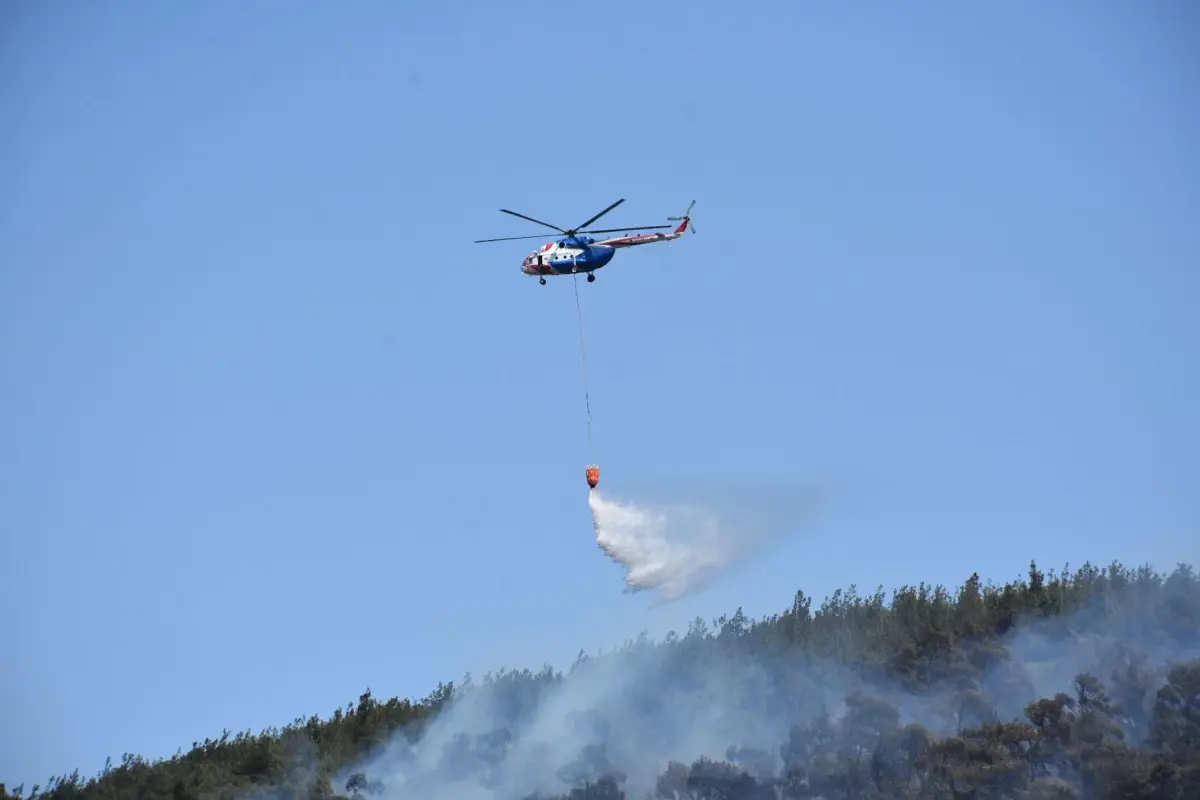 Foça'daki Yangın Kontrol Altında