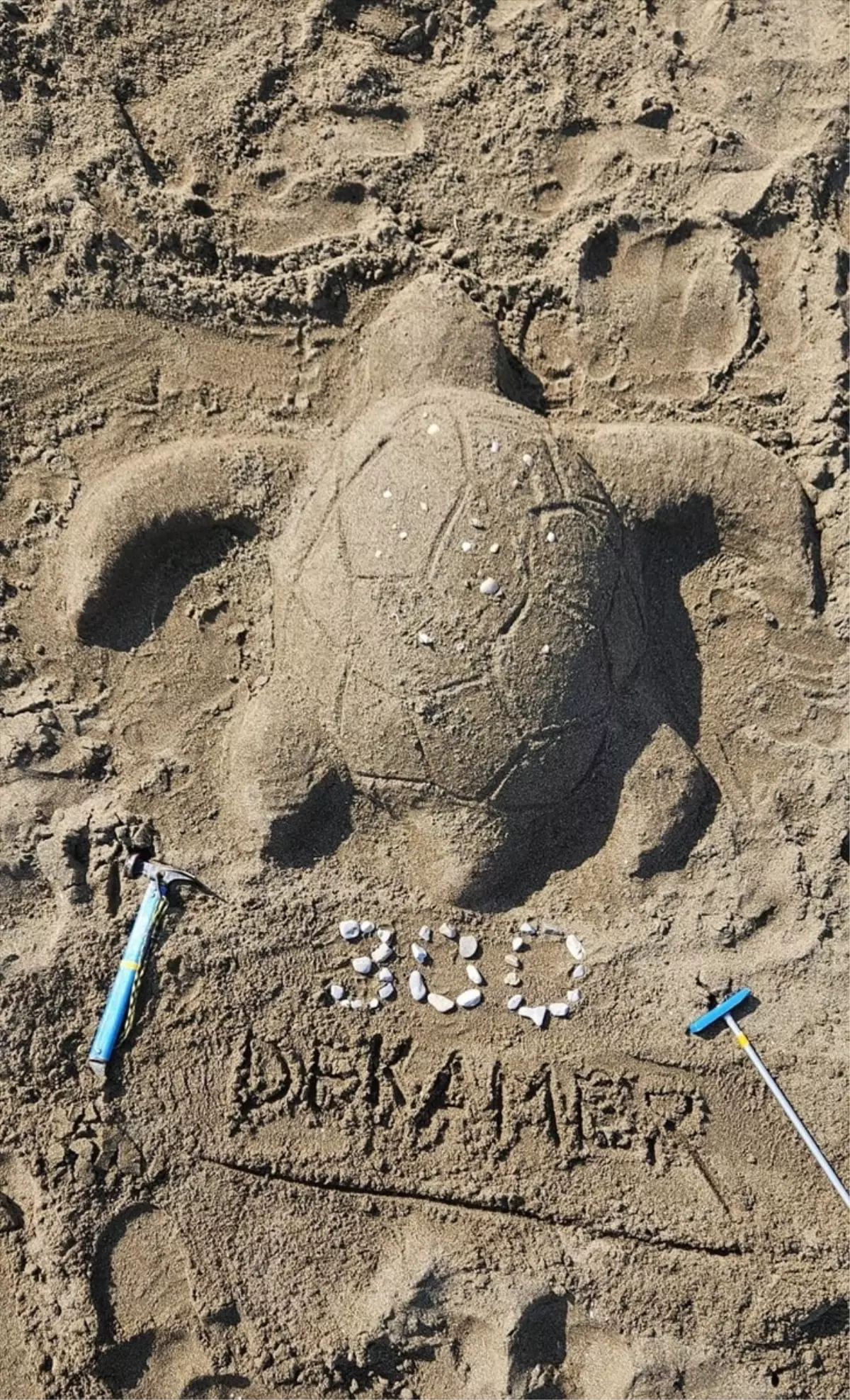İztuzu'nda 300 Caretta Caretta Yuvaya Ulaşıldı