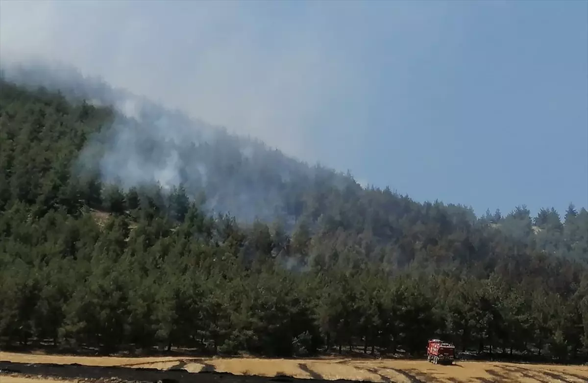 Kahramanmaraş'ta Orman Yangını