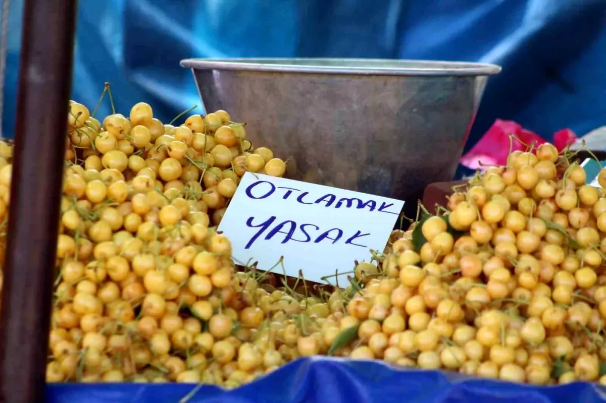 Kiraz Festivalinde 'Otlama' Yazısına Tepki