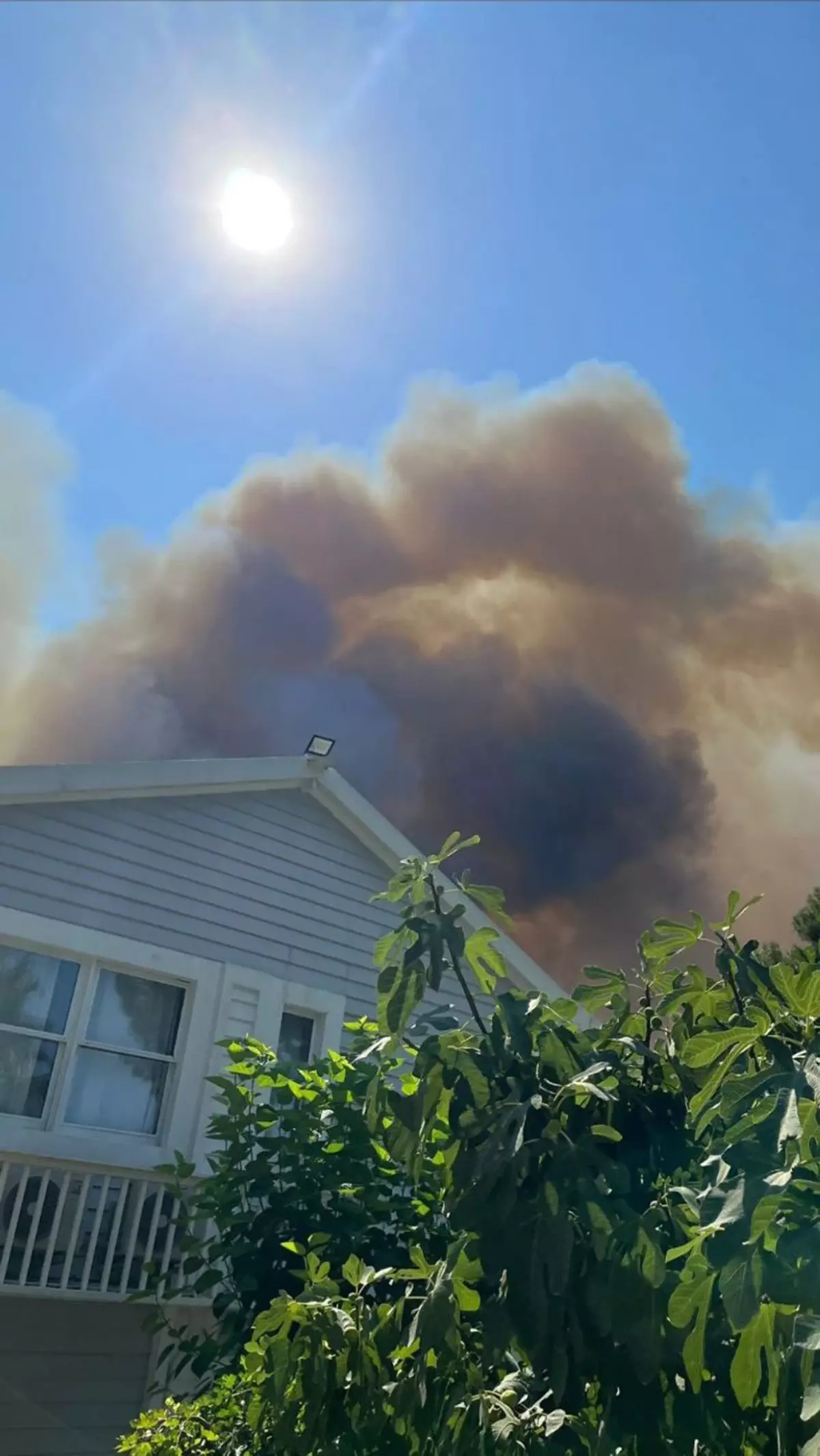 Bülent Ersoy alevlerin ortasında kaldı