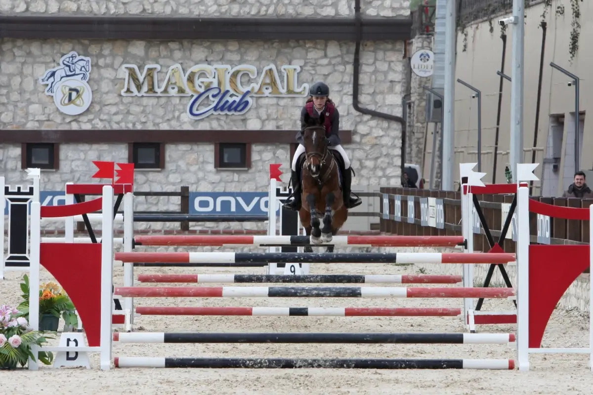 Çatalca'da binicilik sporuna altın dokunuş: Lider Club Magical Horses