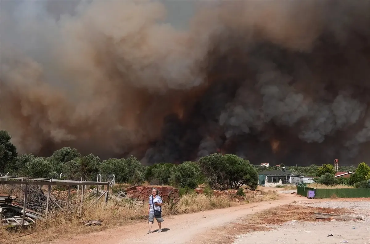 Çeşme'de Orman Yangınına Müdahale