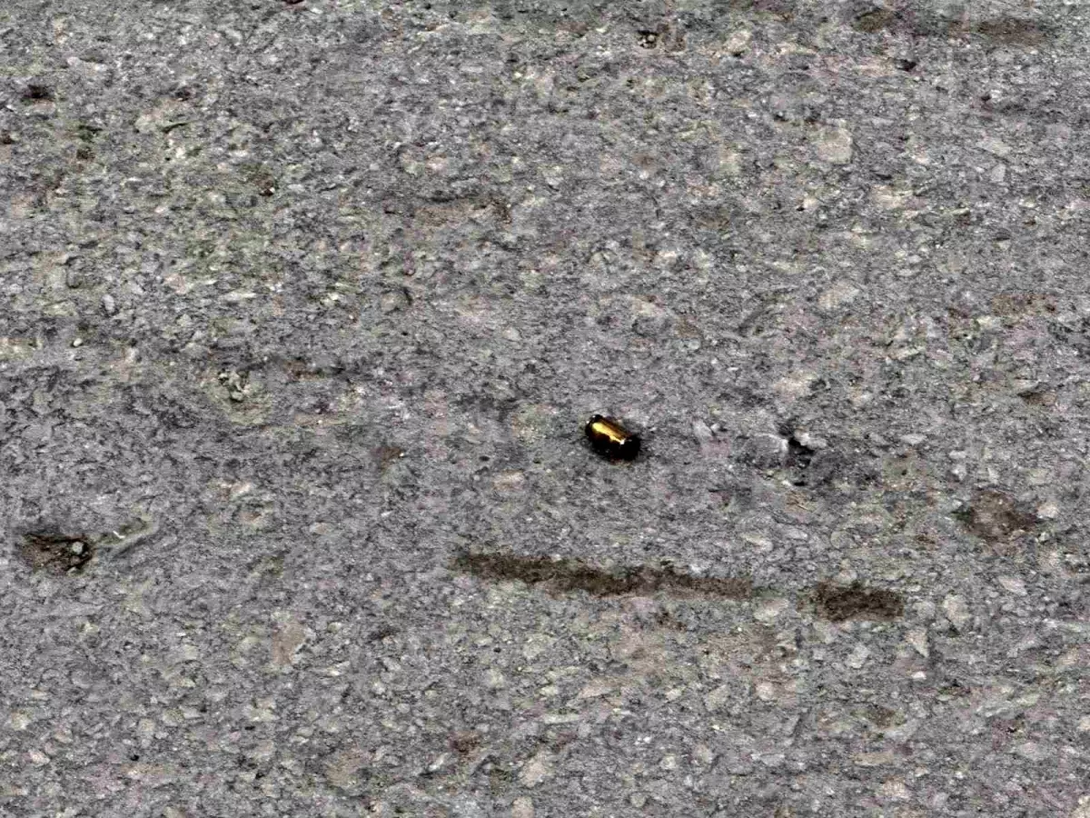 Eskişehir'de Kurusıkı Tabancayla Ateş Açan Şüpheliler Yakalandı