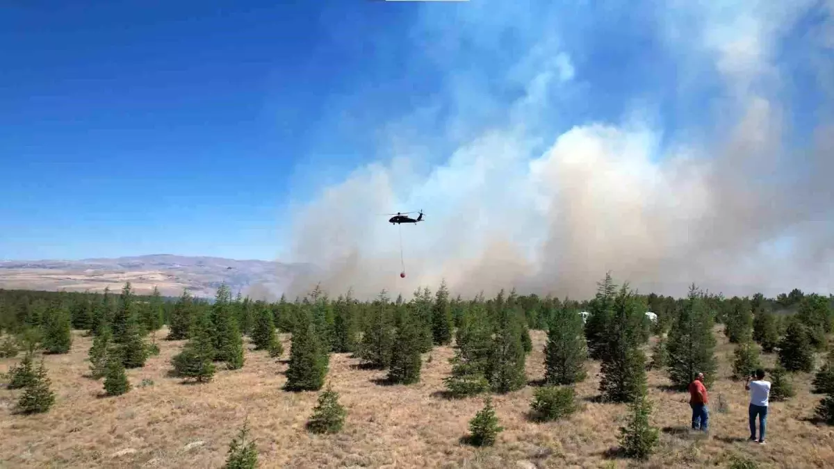 ODTÜ Ormanlık Alanında Yangın Kontrol Altına Alındı