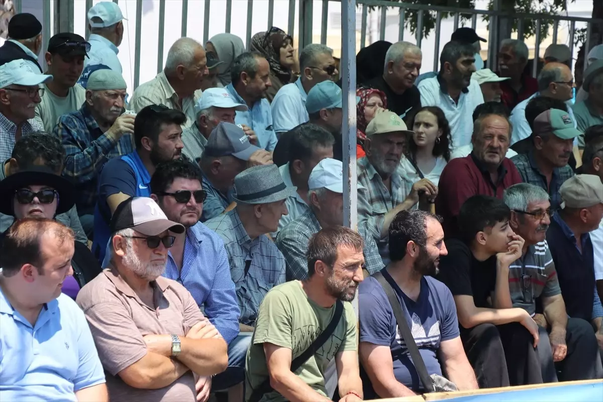 Tarihi Namazgah Yağlı Pehlivan Güreşleri, Kocaeli'de başladı