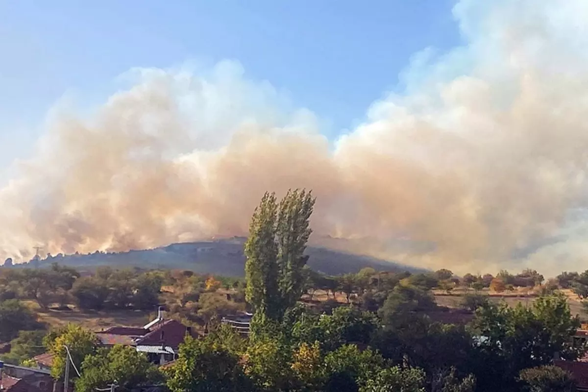 Yangında 10 kahraman şehit düştü! Ünlülerden yürek burkan taziye mesajları